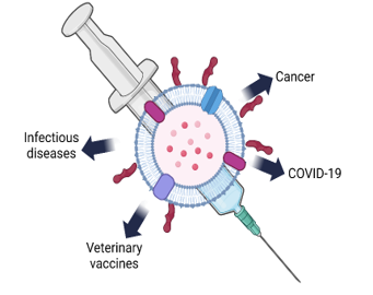 Our Vaccines - BIOMVIS